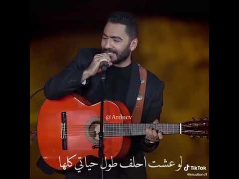 تامر حسني مش هقدر اوصف بحبك قد ايه حالات واتس اب 