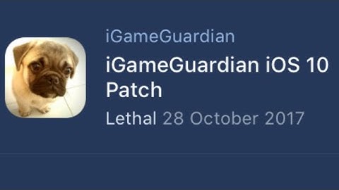 How To fix iGameGuardian on IOS 10.1.1 - 10.2