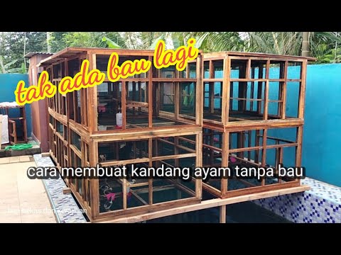 Membuat kandang ayam yang bebas bau