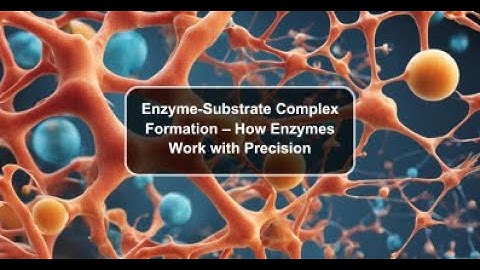 Enzyme-Substrate Complex: The Heart of Enzymatic Catalysis