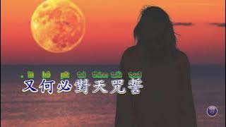 黃昏台語版~楊靜~愛人叨位去