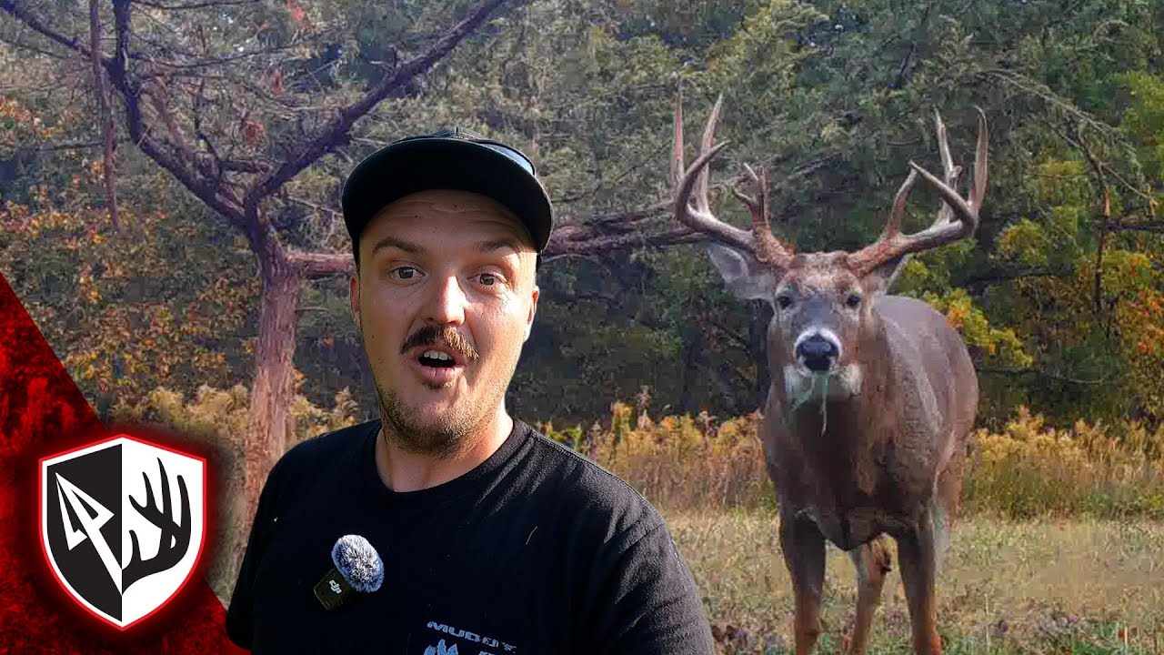 Создаем лучшее имитационное дерево для царапания и трения!