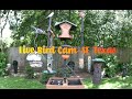 Live Bird Camera of South East Texas
