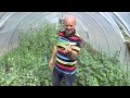 Ref:sHodBbyouc8 Piet huysentruyt gives a tour of his green house at likok� in france