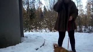 Bella TUTE - Esterliturm - Lenzburg - Aargau - Switzerland - 2015