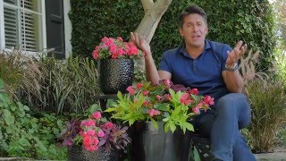 Infuse a bold punch of color into that dark, shady area of your yard. Let Jamie show you how to take a dull space and bring it to life 