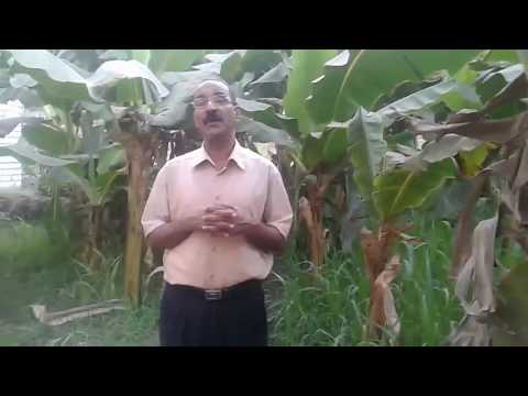 عظماء من صعيد مصر الحلقة الثالثة عشر الشاعر عبد الرحيم منصور