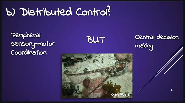 The Science of Animal Sentience: "The kraken is aw...