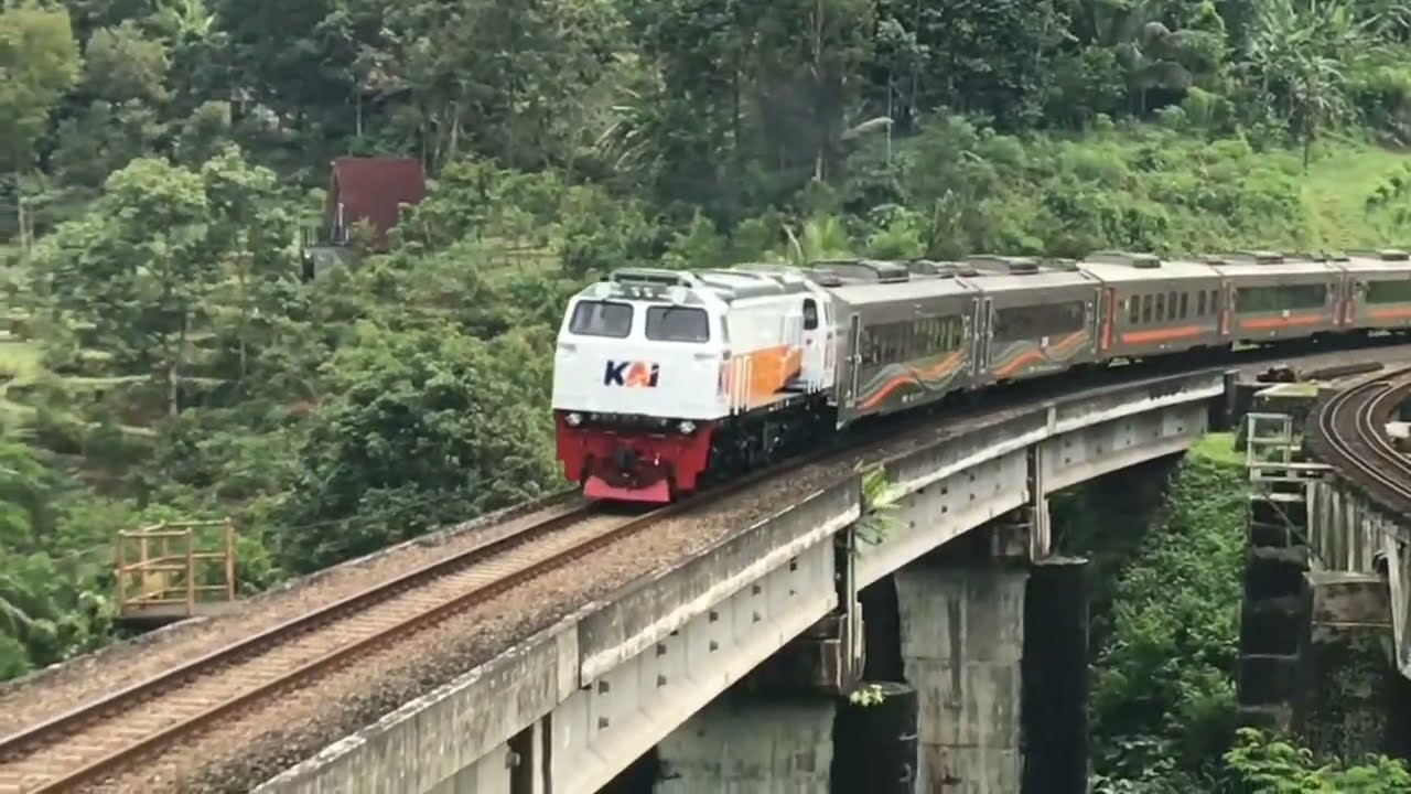 KERETA API PANJANG ‼️ MENEMUKAN 20 KERETA API NGEBUT DI TIKUNGAN