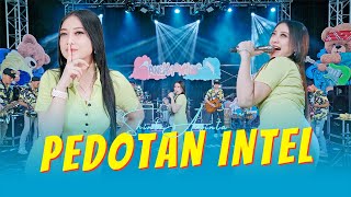 Shinta Arsinta - PEDOTAN INTEL (ANEKA SAFARI)