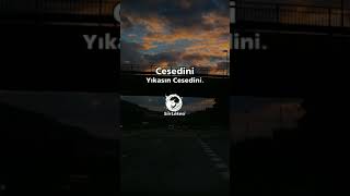 Acısını Yediğim Bu Hayatın - Şiirlekesi Siirlekesi