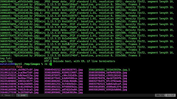 17 Running Multiple Commands in Parallel on a GNU Linux