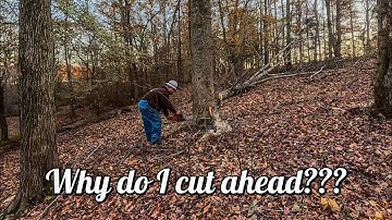 PRODUCTION TIMBER CUTTING and Why I cut ahead @WorkingHorsesWithJim #280 #logging #horselogging 