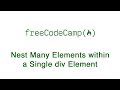 Basic HTML and HTML5: Nest Many Elements within a Single div Element | freeCodeCamp