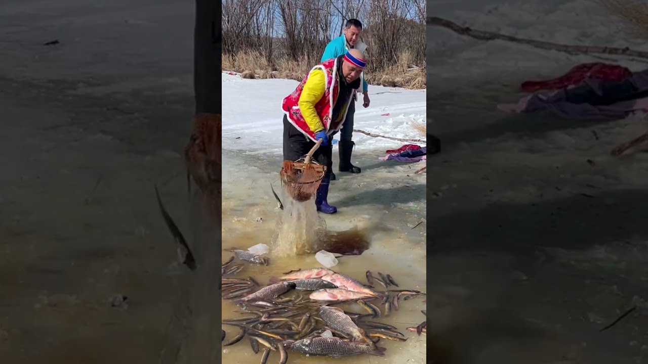 Fishing In Mohe The Northeast Joy Of Outdoor Wild Experience 194