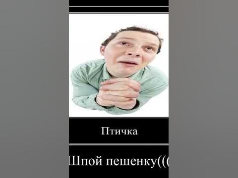 Птичка, спой песенку :) #edit #memes #мем #рекомендации #shorts - YouTube