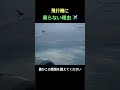 絶対に説明できない現象