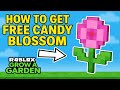 *After Update* How To Get Candy Blossom in Grow A Garden FOR FREE - Roblox Grow A Garden New Codes