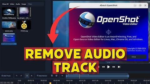 How to Remove Audio Track in Openshot 2025?