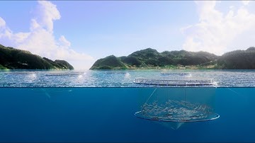 The Power of Precision Aquaculture