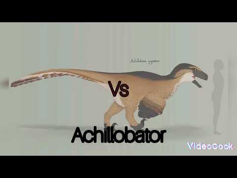 utahraptor vs achillobator