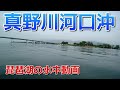 【琵琶湖の水中動画】真野川河口沖