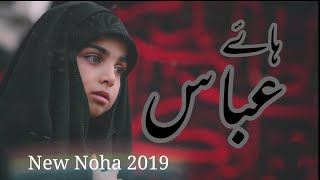 HAAYE ABBAS - ہاۓ عباس - New Noha 2019 - Taha Mehdi - 1441 محرم
