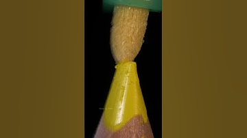 ASMR Marker pen on pencil close-up macro #shorts #satisfying #closeup #asmr #macro