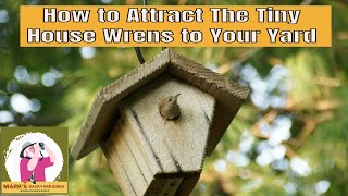 How to Attract the Tiny House Wrens to Your Yard