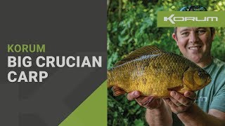 Big Crucian Carp