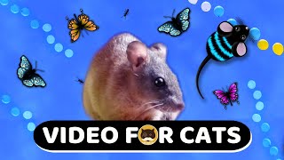 Cat Games - Mice, Butterflies, Ants, Strings, Balloons. Videos For Cats | Cat Tv | 1 Hour.