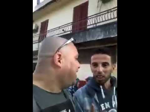 عنابي مقود شبعة ضحك