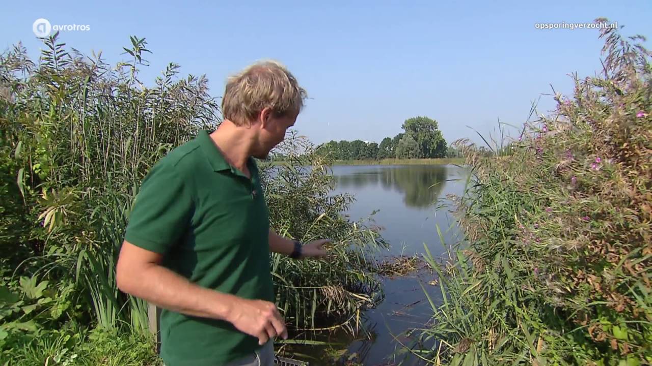 Diemen: Dood Vincent Jalink op Klipperweg