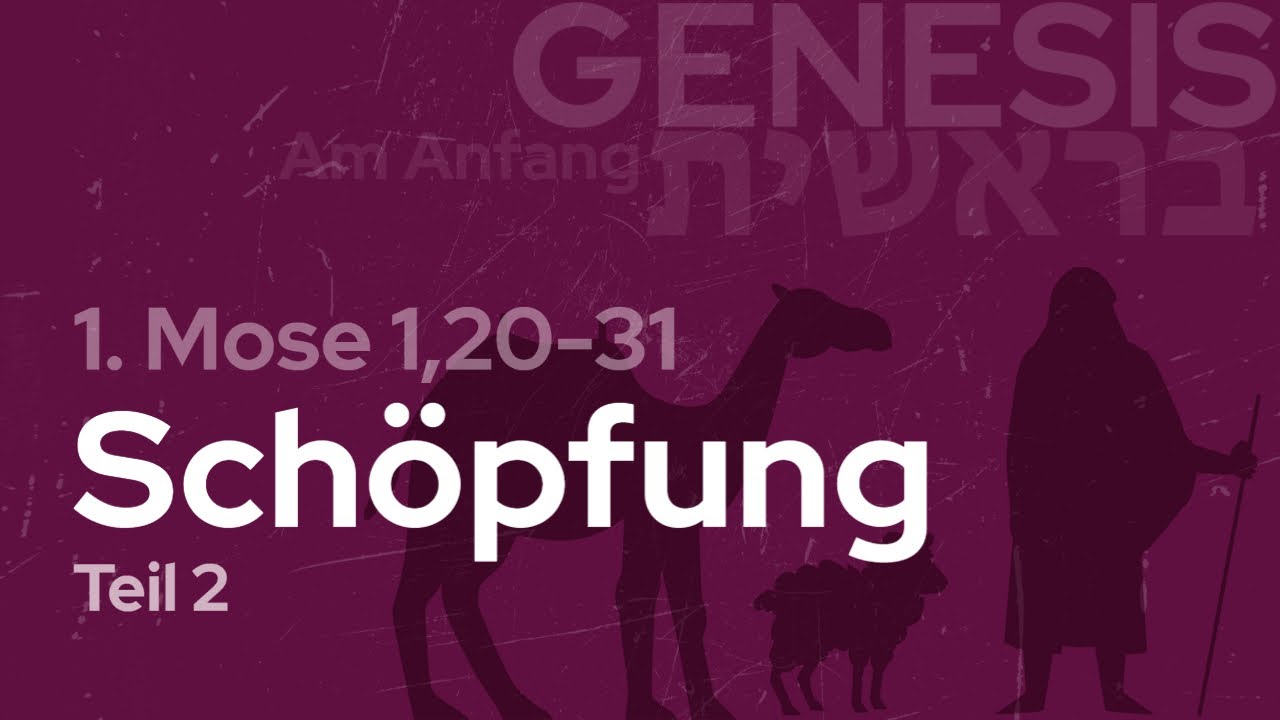 The 24 Hour Days Of Creation Teil 2 Genesis 1 20 31 29 November the-24-hour-days-of-creation-teil-2-genesis-1-20-31-29-november