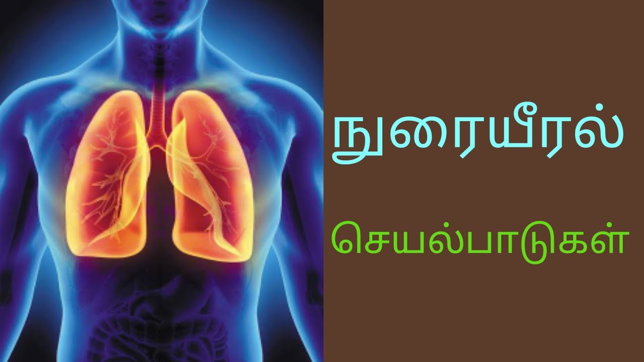 Lungs and its function in Tamil நுரையீரல் செயல்பாடுகள் internal