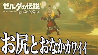 敵の総長が思てたよりぜんぜんシュッとしてなかった新米リンク（俺）【早くティアキン遊びたい男のブレワイ】12日目