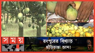 কোটি টাকার বাজার গড়ে উঠেছে হাঁড়িভাঙা আমকে ঘিরে! | Rangpur Harivanga Mango | Rangpur | Somoy TV