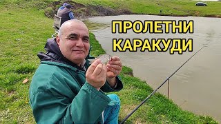 Риболов на каракуди преди забраната! Рибата кълве основно на бял и торен червей! Freshwater fishing!