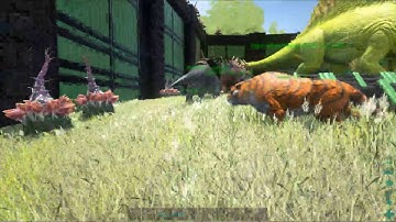 ARK: Survival Evolved Gameplay with GTX 1070 + i5 4690k!