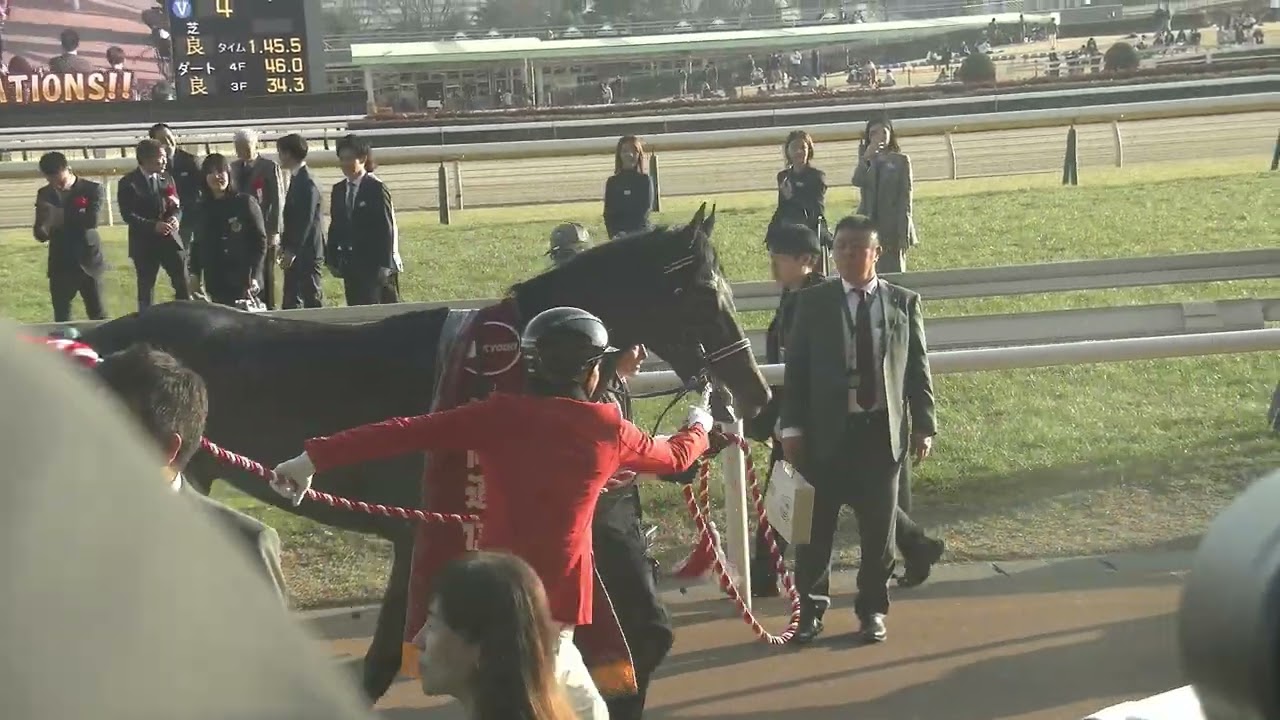 【皐月賞、日本ダービーへ】共同通信杯(GⅢ) 現地 優勝馬 リアライズシリウス 津村明秀騎手 口取り→表彰式 2026/2/15 東京競馬場 11R