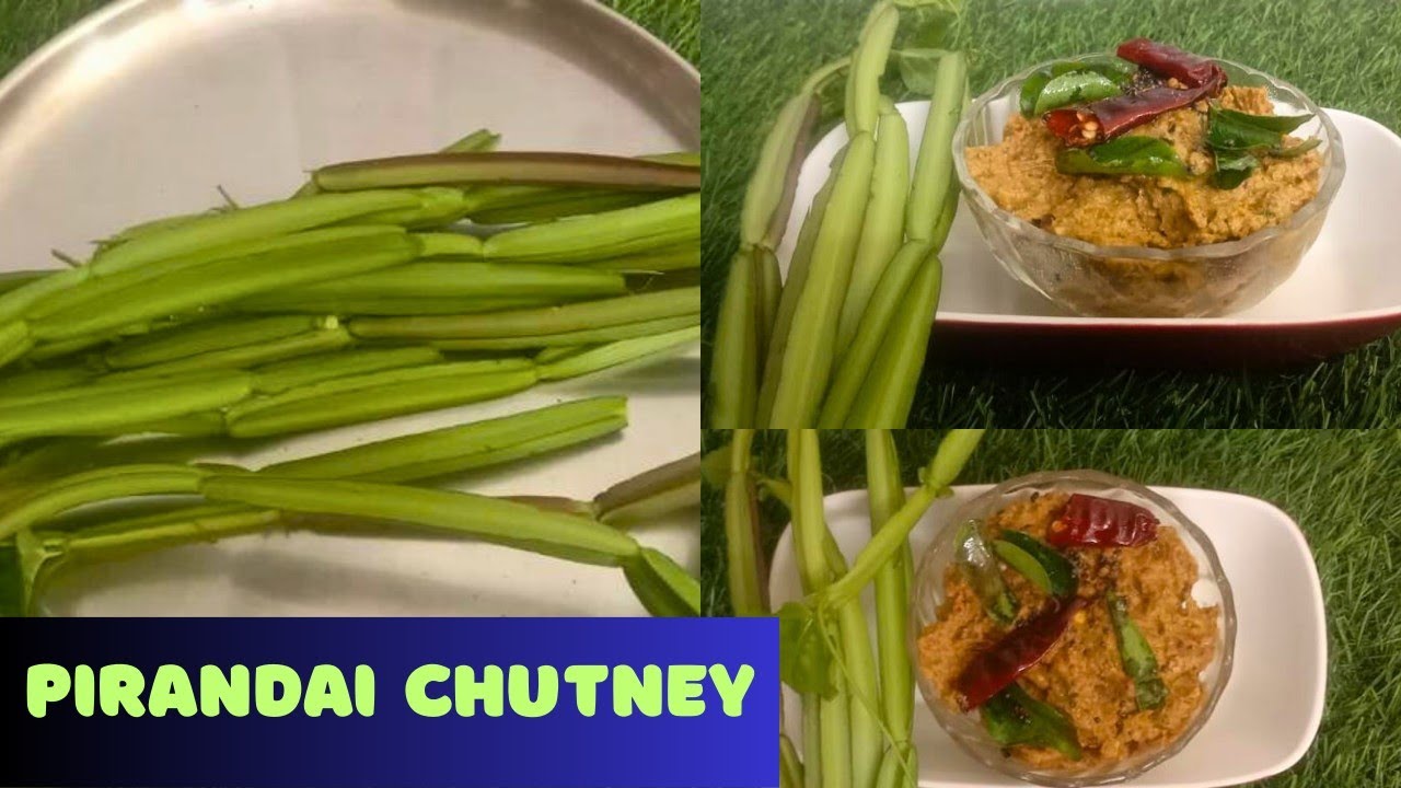 Pirandai Chutney Recipe Changalam Paranda Chamandhi Adamant Creeper