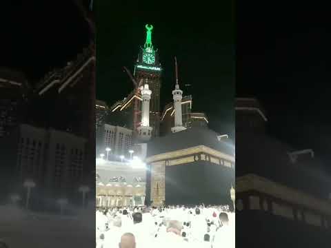 يازوار النبي ريح النبي بيكم ... أهنيكم وروحي سارت وياكم جسمي ما تبعكم حين مسراكم 🥺🚎🕋