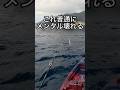 こんな結末ってあんまりだ… #釣りガール