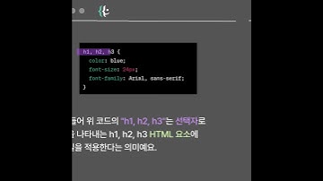 CSS : 웹 페이지의 옷