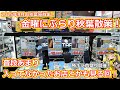【アキバ散策】今回は金曜にぶらり秋葉原！普段あまり入っていなかったお店に入ったり目的は特に定めず秋葉原を堪能していく回！９月のアキバ散策前編動画！【ジャンク】