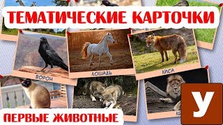 Учим названия животных - Карточки для детей 