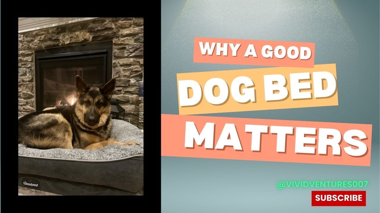 Why a Good, Orthopedic Dog Bed Matters