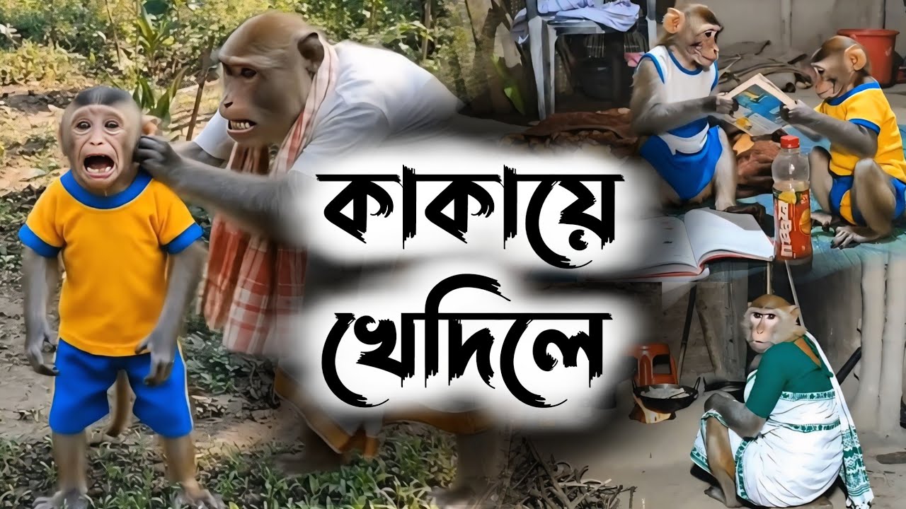 কাকায়ে খেদিলে মোক 😥 | Assamese Monkey Vlog | Bandor Bhokot