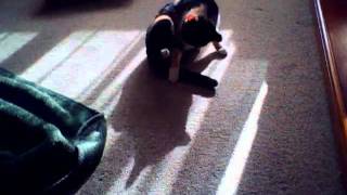 Capture 20091114