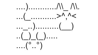 Cat and Mouse Copy and Paste Text Art